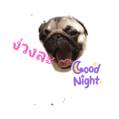 catty_20210720085014