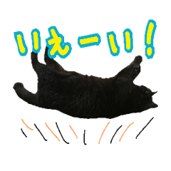 黒猫まるのスタンプ