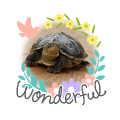 Diana_20221105122134