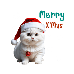 Uanjub_20231222233658