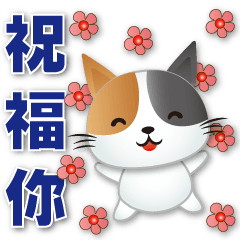 Cute cat - daily phrases