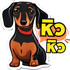 Dachshund Funny Words