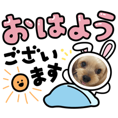 くろごまちょこスタンプ