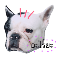 Khunnai Khunnoo Khunter