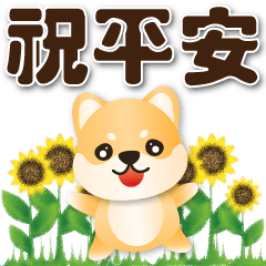 Cute Shiba--- Practical greetings