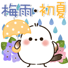 動く♡ほんわかシマエナガさん♡梅雨＆初夏