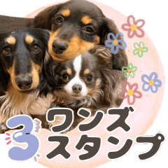 可愛い3ワンズスタンプ