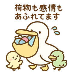 今日もペリカン親は秒で限界