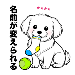 名前入りマルチーズショート