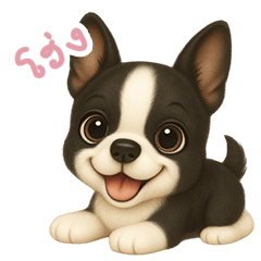 わんで伝えるボストンテリア TH