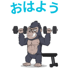 筋トレ好きの可愛いゴリラ