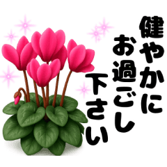 『３Ｄ』年末年始、毎日使えるメッセージ♪