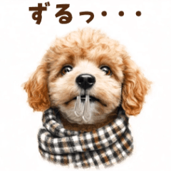 トイプードルの冬の季節の変わり目スタンプ