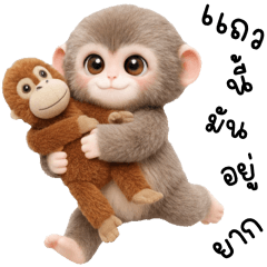 PUNK KUNG LOVELY MONKEY