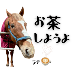 Retouchのゆかいな仲間たち〜PART4