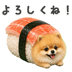 ポメラニアンお寿司