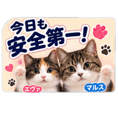 エヴァとマルスのニュース猫・クマ注意編