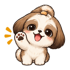Cute Shih Tzu Warm Chat