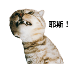 Lucy Zh._20190422012904