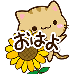 小さいキジトラ猫【BIG・夏】