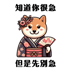 Kimono Shiba Inu talks bird talk