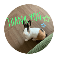 うさぎのえんちゃん【日常②】