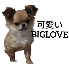 子犬スタンプだよー