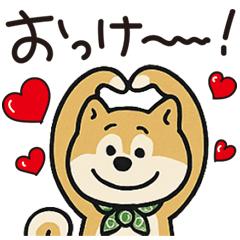 ゆるーいかわいい柴犬ちゃん。