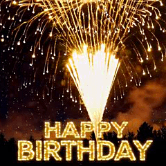 背景に豪華な花火✨誕生日・年間イベント