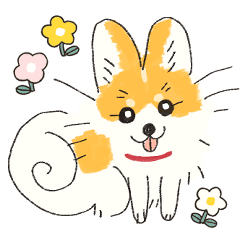 ポメッツのふーちゃん