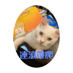 Smalloll Haofeng_20251108140259