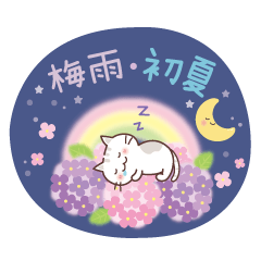 猫と梅雨と初夏♪感情を伝える♡敬語
