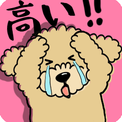 【プードル】動く！値上げの日々！