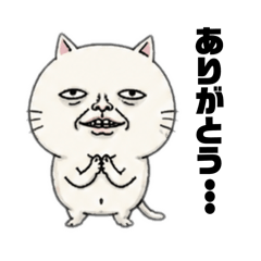 クセが強すぎるネコ①