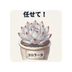エケベリア好き必見♡人気多肉植物スタンプ