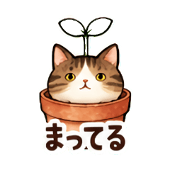 植物になった猫