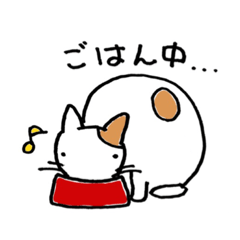 ねこの1日（^_^）