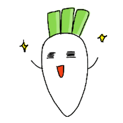 DAIKON RADISH