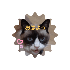 空也・海・要芽 スタンプ1