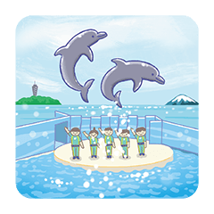 新江ノ島水族館[公式]えのすいの生き物たち