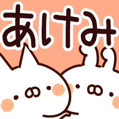 【あけみちゃん専用】