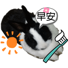 LAI JIA YING_20210513094416