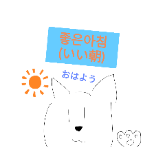 日常の韓国語　ねこ