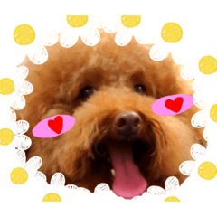 Lin.yuxue_20230619211002