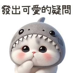 shark baby cat7