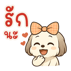 NooYim Shih Tzu - Cute & Playful