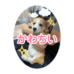 ぽぽぽてとちっぷす