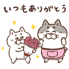 目つきの悪い猫【母の日】