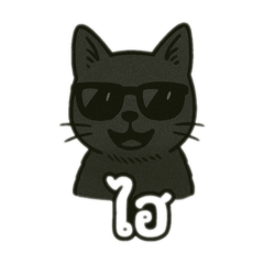 Cat cool cool_20250613185703