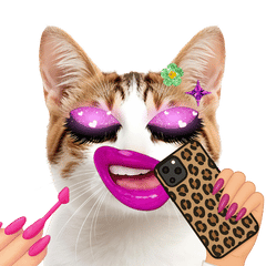 手ごわい女の子